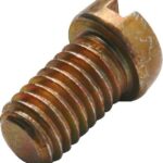 Vaillant vis thermo 010003